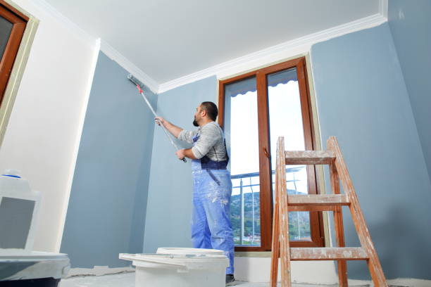 Best Drywall Sanding and Smoothing  in South Bend, IN